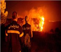 فقدان السيطرة عن حريق ناجم عن سقوط قذيفة صاروخية من لبنان|فيديو