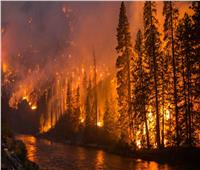 مصرع شخصين في حرائق الغابات ببلغاريا