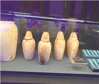 سفير مصر بـ«التشيك» ينظم زيارة  لمعرض الآثار الفرعونية بالمتحف الوطني
