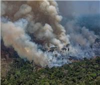 حرائق الغابات في البرازيل.. مخاوف من تكرار مآسي العامين الماضيين| تقرير