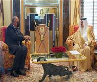 ملك البحرين يؤكد تضامن بلاده مع مصر في قضية سد النهضة