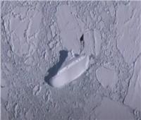 «مستخدمو خرائط» جوجل يكتشفون مشهدا غريبا  في القارة القطبية |فيديو 