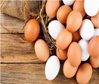 «بشهادة أمريكية».. البيض البلدي يحتوي على نسبة أكبر من «فيتامين د»