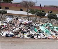 المواطنين بمدينة التجاريين يشتكون من تراكم القمامة  