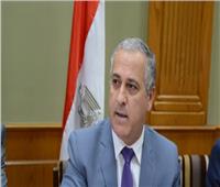 الشوربجي: مصر صارت نموذجا يحتذى به في التنمية بين دول العالم
