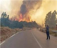 الجزائر: وفاة 5 أشخاص بعد اشتعال 31 حريقاً بـ 14 ولاية