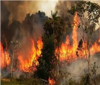 وزير الداخلية الجزائري: أياد تخريبية تقف وراء حرائق الغابات 