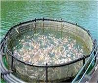 خبير استزراع سمكي يطالب بتغليظ عقوبات التعدي على الثروة السمكية 