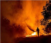 ارتفاع حصيلة وفيات الحرائق بالجزائر لـ69 شخصًا