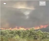 بعد موجة حارة.. حرائق تجتاح الغابات في جبال غرب تونس | فيديو