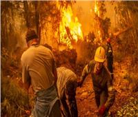 اليونان تعلن السيطرة على حرائق الغابات