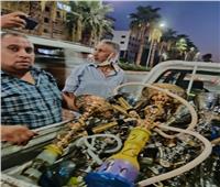 محافظة الجيزة: إزالة 7 آلاف حالة إشغال بالأحياء خلال 10 أيام | صور