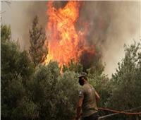 الإمارات تؤكد تضامنها مع اليونان في مواجهة الحرائق التي تشهدها البلاد
