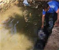 العثور على جثة طفل مبلغ باختفائه في مياه البحر اليوسفي في بني سويف