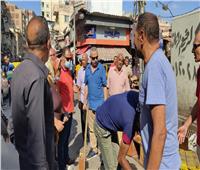 حملة مكبرة لإزالة التعديات والإشغالات شرق الإسكندرية