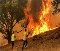 «الإنقاذ الإسرائيلية»: معدل تقدم الحرائق «سريع للغاية»
