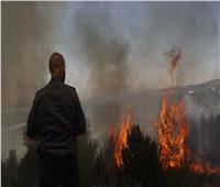 وزير خارجية إسرائيل يطلب من نظيره اليوناني المساهمة في إطفاء الحرائق.. والأخير يرد