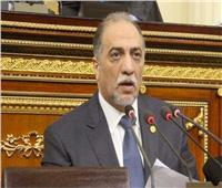 تضامن النواب : الرئيس إستعاد القيم الأصيلة للشعب المصرى