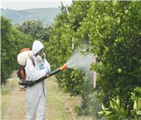 متبقيات المبيدات| الاستخدام العشوائي يهدر المحاصيل ويتسبب في خسارة للفلاحين