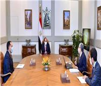 الرئيس السيسي: الاستعانة بكبرى المكاتب الاستشارية في تطوير الريف المصري
