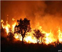 حريق جديد خارج عن السيطرة في غابة شمال كاليفورنيا