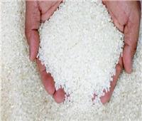 «البحوث الزراعية» تعلن نجاح تجربة الأرز الجاف في الوادي الجديد