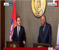 وزير الخارجية: هناك اتفاق على تفعيل آليات التعاون بين مصر وصربيا