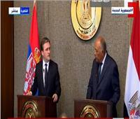 «بحضور رجال أعمال».. وزير خارجية صربيا: نسعى لعقد مجلس تعاون مشترك مع مصر
