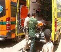 مصرع طالبين في حادث تصادم دراجة بخارية بـ«عربة كارو» بشربين 