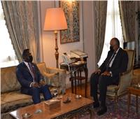 سامح شكري يستقبل وزير خارجية سيراليون
