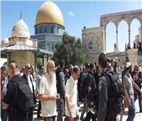 مستوطنون يقتحمون المسجد الأقصى بحماية من شرطة الاحتلال الإسرائيلي