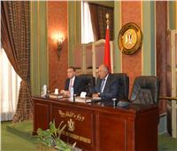 شكري يطالب سفراء مصر بترويج الإنجازات لتعزيز السياسة 