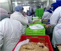 ضبط طنين من لحوم الدجاج الفاسد بمصنعين في الشرقية