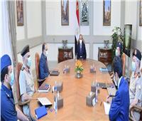 الرئيس السيسي يوجه بضرورة تحقيق أكبر عائد من مشروع «مستقبل مصر»