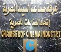 صناعة السينما: إعداد خطاب ضم تحفظات لائحة محافظة القاهرة ورفعها لـ«عبدالدايم»