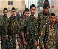 مقتل وإصابة 9 جنود سوريين في هجوم إرهابي بريف درعا