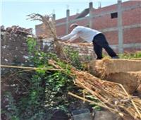إزالة بناء مخالف وحظيرة مواشي في منشأة القناطر| صور