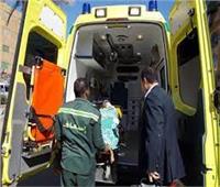 مصرع طفل وإصابة والدته في حادث على طريق «بنها  المنصورة» بالقليوبية 