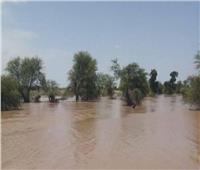 أزمة بالسودان.. نهر الدندر يخرج عن مجراه الطبيعي ويقترب من الفيضان