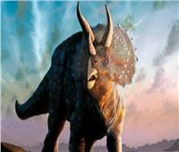 عرض أكبر ديناصور ثلاثي القرون للبيع بسعر خيالي 