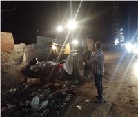 رفع 200 طن مخلفات وصيانة أعمدة الإنارة بشوارع حي شرق المنصورة