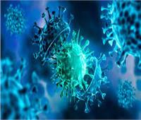 أستاذ مناعة: بروتوكول جديد لمواجهة متحورات فيروس كورونا| فيديو