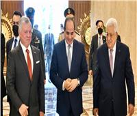 نائبة: القمة الثلاثية تؤكد دعم القاهرة الدائم للقضية الفلسطينية