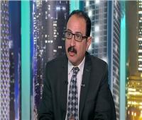 خبير سياسي: القاهرة تحركت في جميع الاتجاهات من أجل القضية الفلسطينية