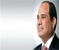 السيسي: مصر وقبرص تعملان على تحقيق الاستقرار والأمن بالمنطقة