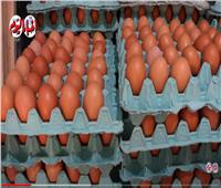 الطبق بـ40 جنيهًا.. ارتفاع أسعار البيض في الأسواق لهذا السبب| فيديو 
