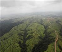 خبراء يحذرون| غابات الأمازون تفقد 4600 كيلومتر من مساحتها في عام