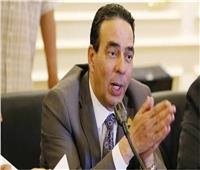 برلماني: لا يمكن المزايدة على مواقف مصر في مكافحة الهجرة غير الشرعية
