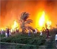 النيران تلتهم 50 شجرة جوافة في حريق مزرعة بقنا 