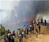 السطات الجزائرية تعتقل 30 شخصا لتورطهم في حرائق الغابات